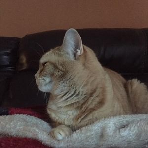 Meet your Posher, Brenda